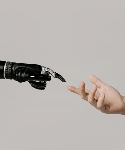 aifoto aifoto